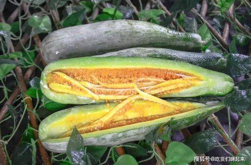 网红陈佩奇吃瓜,揭秘网红圈幕后故事