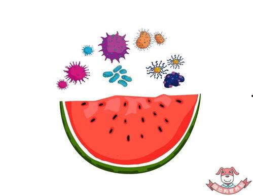 访问安全吃瓜网,网络访问安全与内容监管的平衡之道